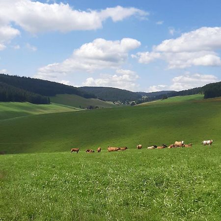Haus Zum Sternen Daire Vöhrenbach Dış mekan fotoğraf