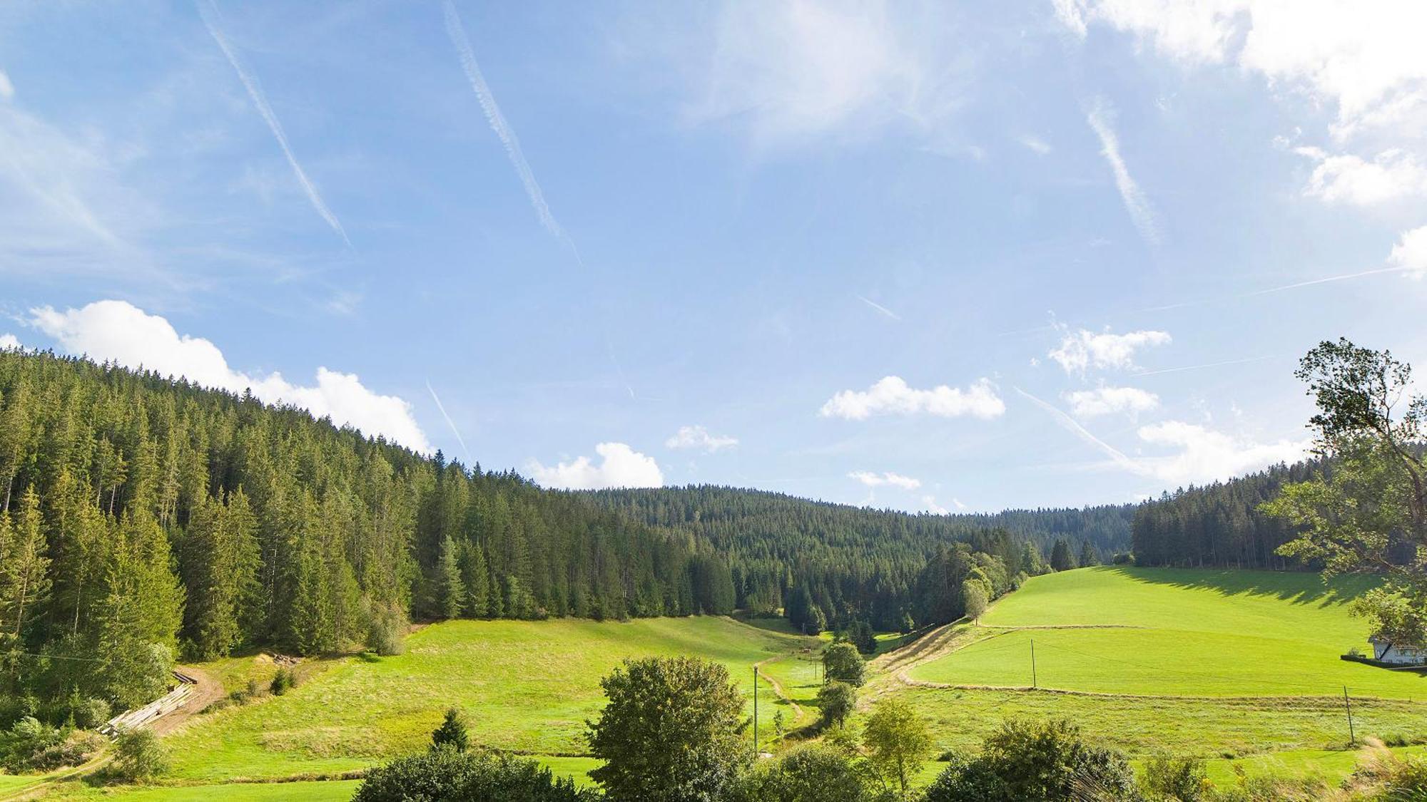 Haus Zum Sternen Daire Vöhrenbach Dış mekan fotoğraf